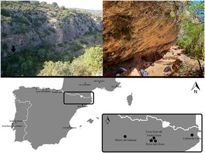Neanderthal resilience and adaptability: insights from the Abric Pizarro faunal assemblage during the MIS 4